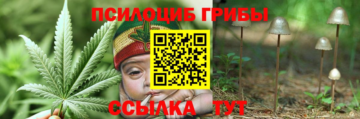 Псилоцибиновые грибы мухоморы  Вход с VPN  Нефтекамск 