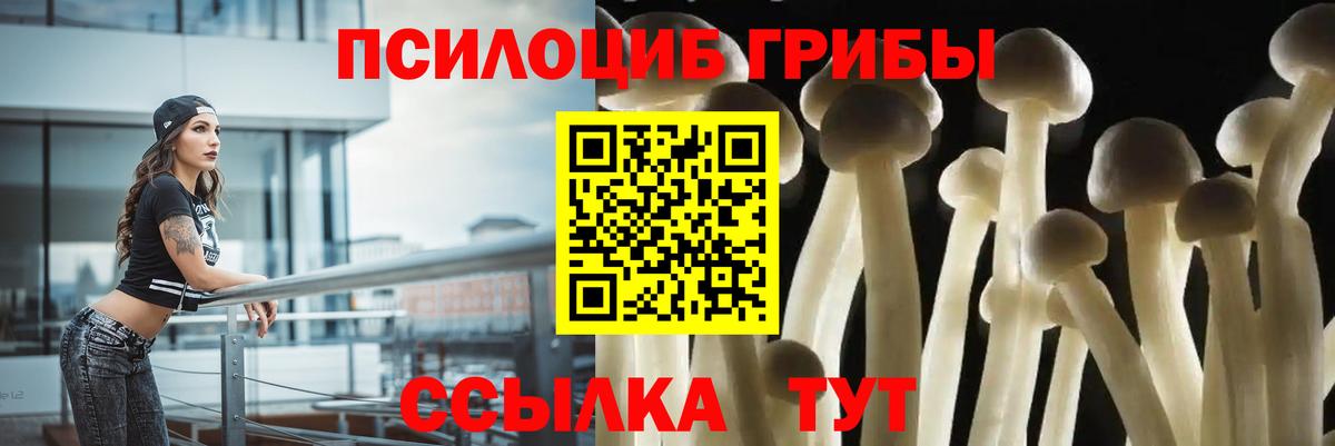 Галлюциногенные грибы Psilocybe Нефтекамск